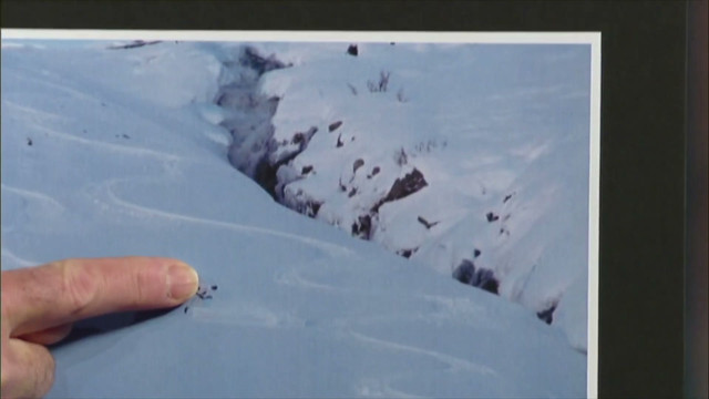 Article Image 1
