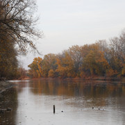 100c0100247m