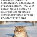 ca67e586b97724360ce8b1de87dd7201.jpg