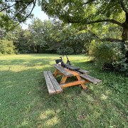 IMG-0356