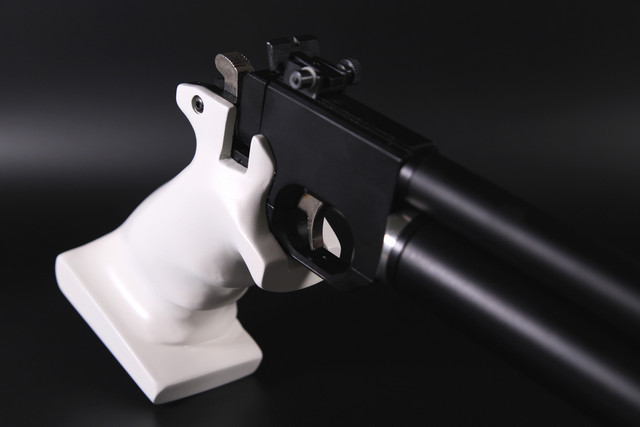 PP700W (13)