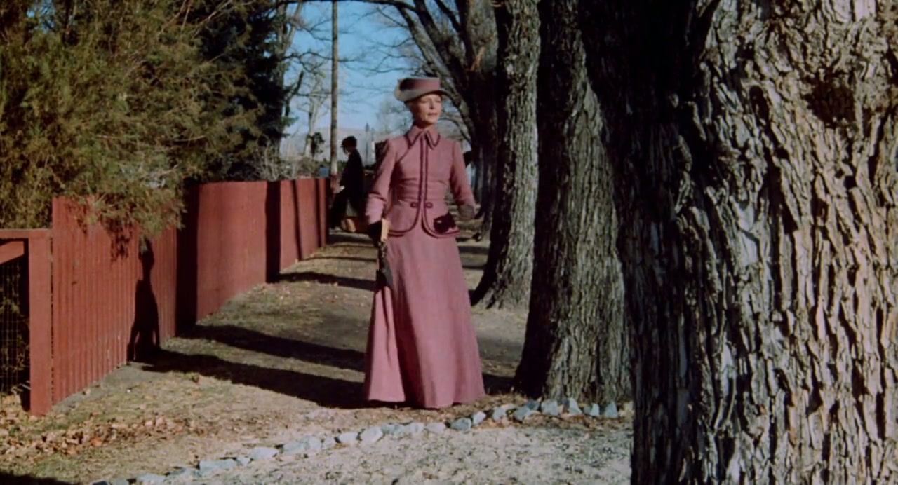 The Shootist Screenshot