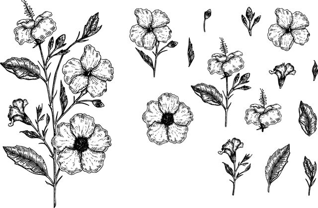 shutterstock 1289862235 Converted.png