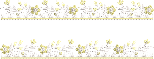 QA 27 PATI 2.png