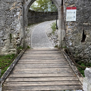 IMG-2841