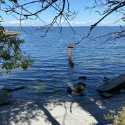 IMG-1357
