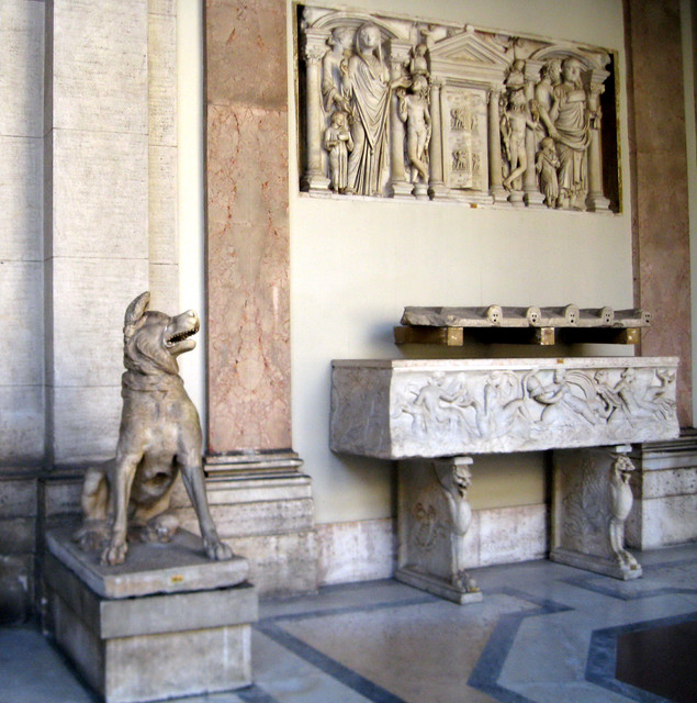 IMG-6615