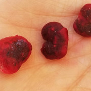 0-baobab-03