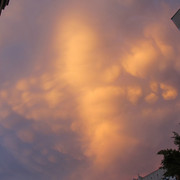 IMG-2652