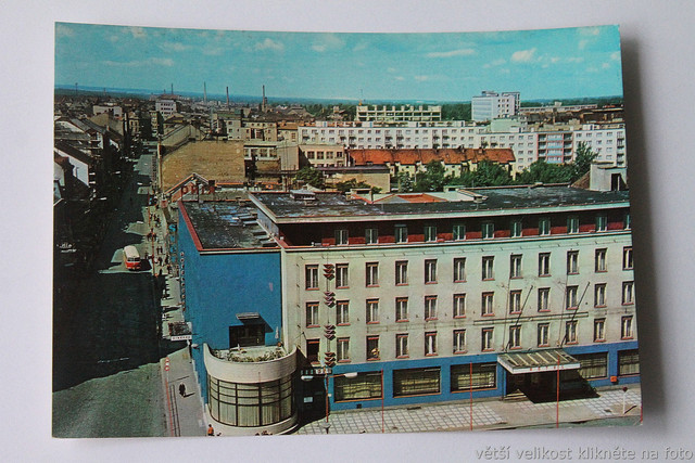 IMG-6317