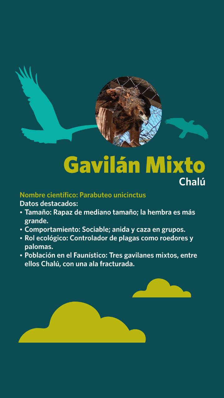 NIÑOS-VOTAN-4.jpeg