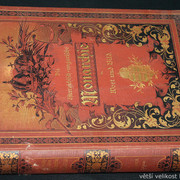 IMG-6392