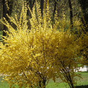 P5041498