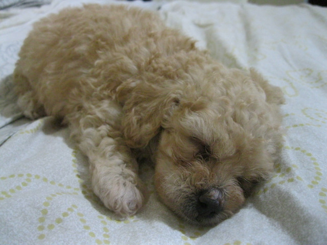 IMG 0724.jpg