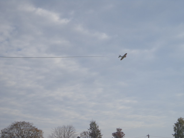 DSC07848.jpg