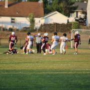 IMG-5590