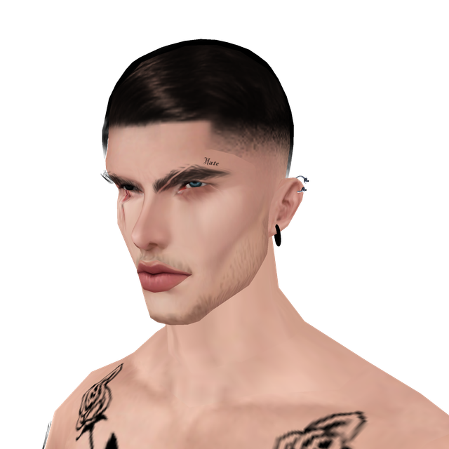 hi-Res-No-Bg316.png
