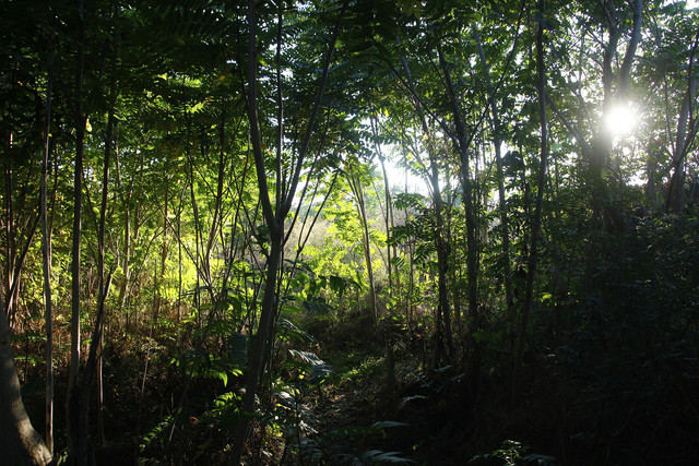 1002a0273m.jpg