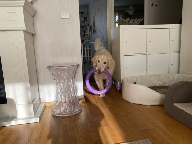 2821105-B-8-F44-48-D2-B8-A7-FA5-DBC46148