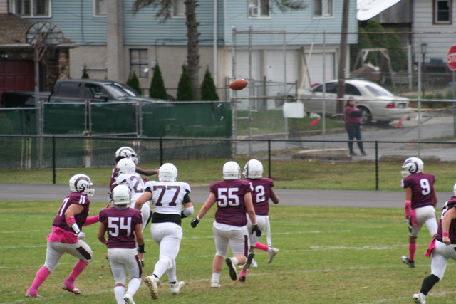 IMG-0272.jpg