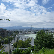P1350294