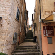 IMG-9695