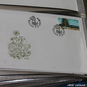 IMG-2638