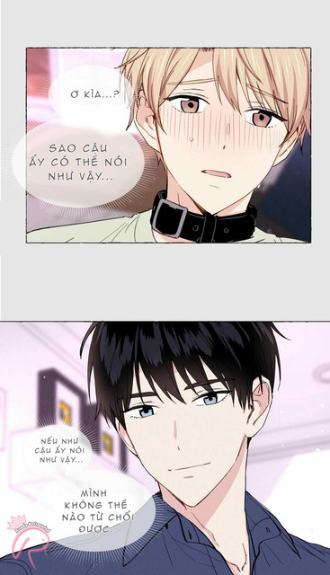 005.jpg