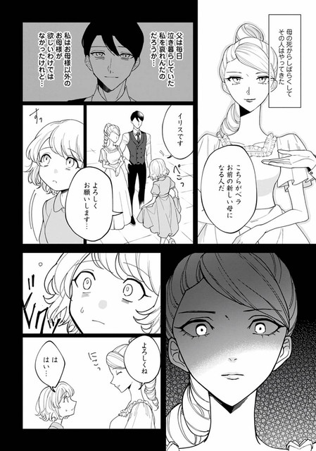 DLRAW-NET-016