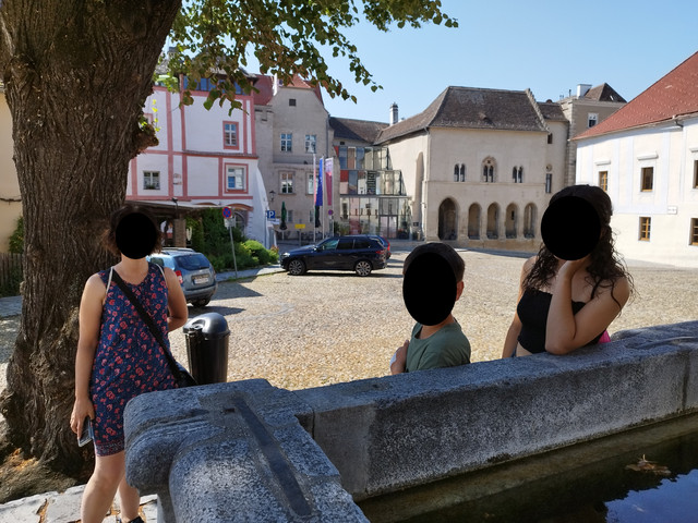 DIA 9. Kremns an der Donau a Viena (tren). Domingo 9 de julio - Ruta en bici del Danubio- julio 2023 (2)
