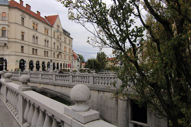 IMG-9999.jpg
