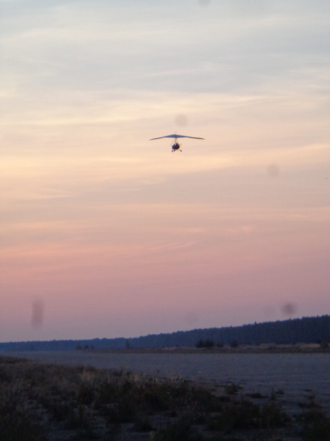 DSC00904.jpg