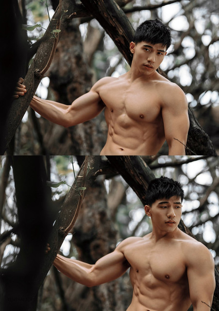 Troy-27