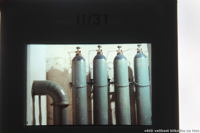 IMG-1156.jpg