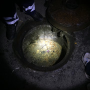 IMG-3991