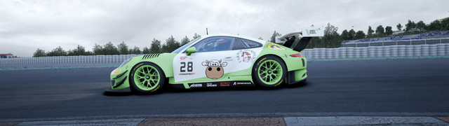 COWCOTLAND-Porsche-991-GT3-R-2