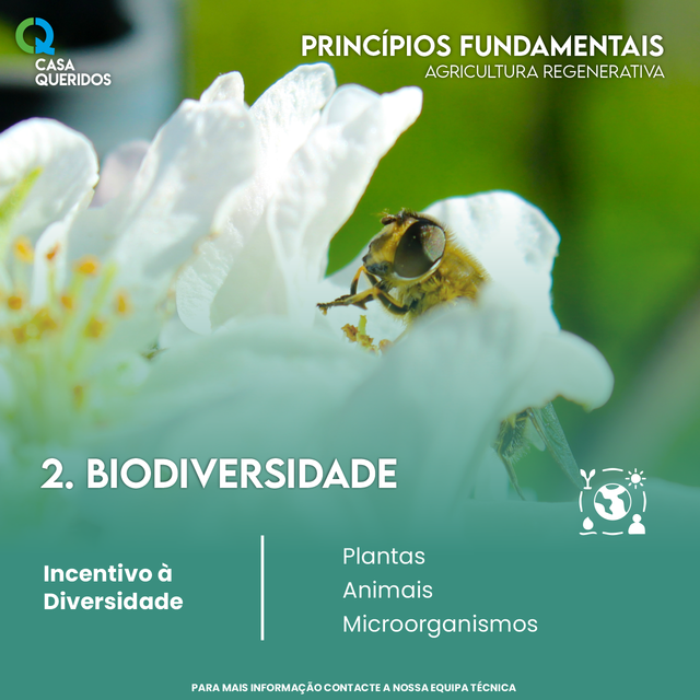 Biodiversidade