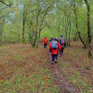 F Llanwrthwl
