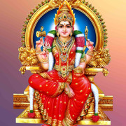 NEW KOVIL THIRUVIZHA FLEX - 5