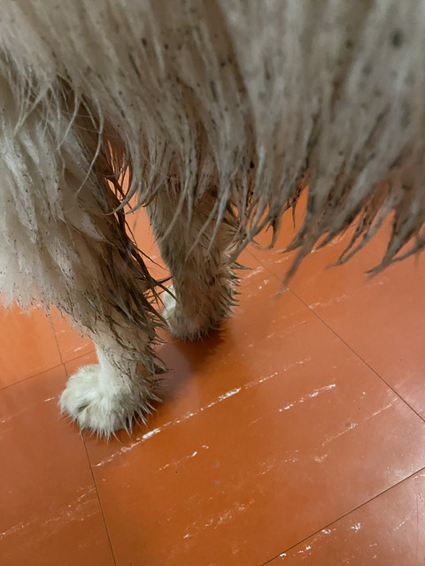 5554-A72-A-46-C2-48-ED-9-E2-E-0-D3-CEBB2