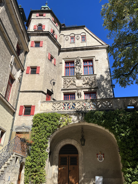 IMG-6846