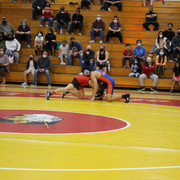 IMG-0291