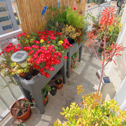 IMG-7676