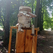 IMG-20230804-141802