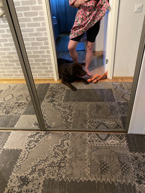 43-E89081-3-EE1-477-D-8-E86-1-D8-AACCC54