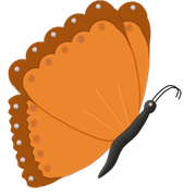 papillon5