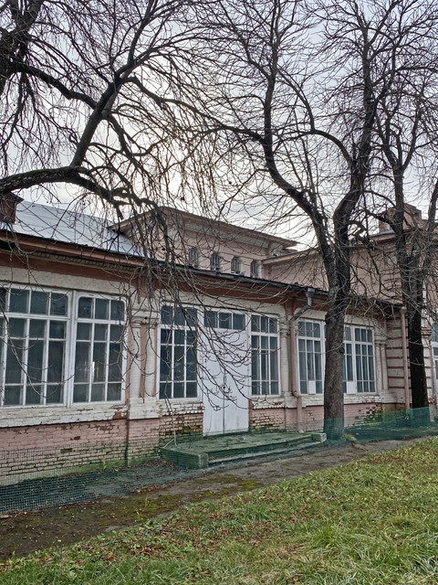 IMG-6019