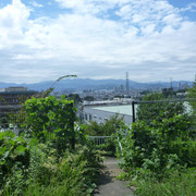 P1350292