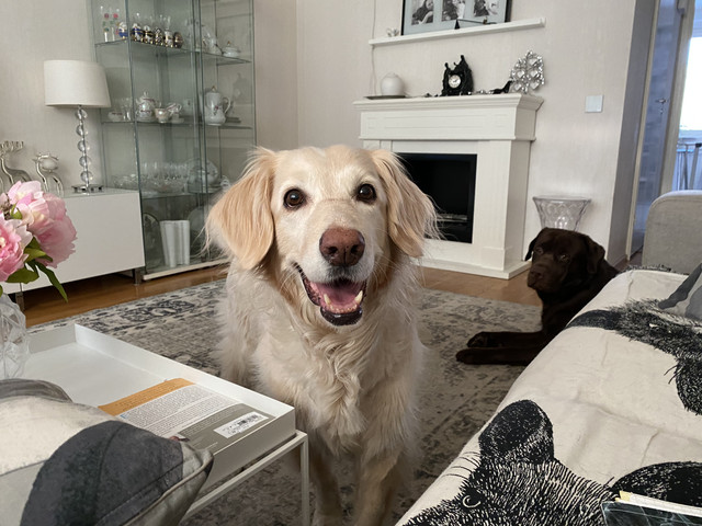 5-D73-D7-EF-66-A3-45-C7-AA1-B-7-A2-F204-