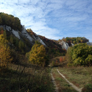 IMG-4317